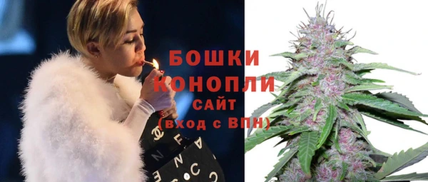 мяу мяу мука Дмитров