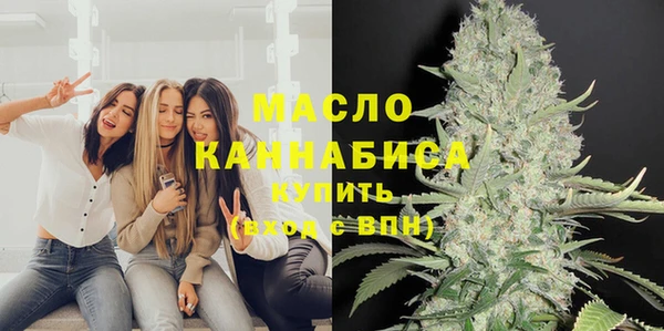 хмурый Дмитриев