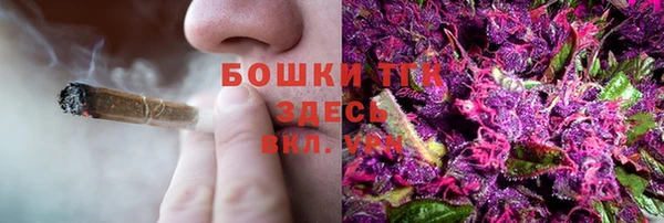 хмурый Дмитриев