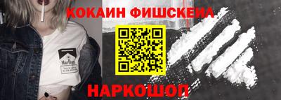 гидропоника Камышлов