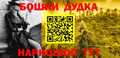 гидропоника Камышлов