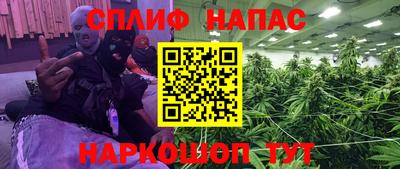 гидропоника Камышлов
