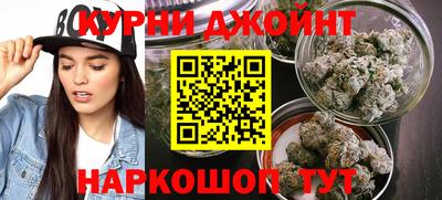 гидропоника Камышлов