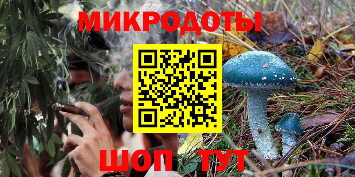 Пенза  Псилоцибиновые грибы мухоморы  Вход с VPN 